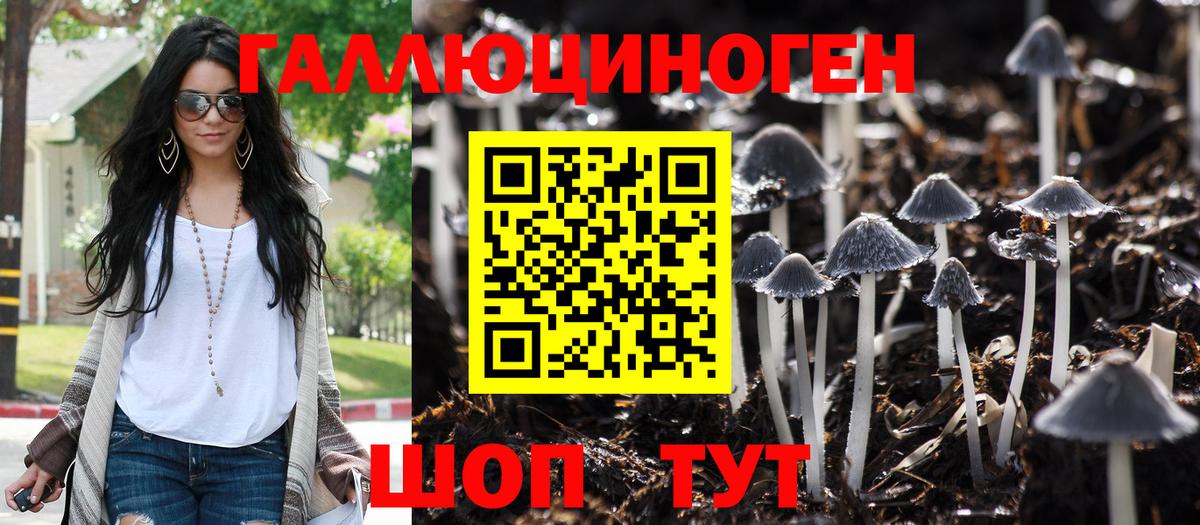 Псилоцибиновые грибы MAGIC MUSHROOMS  Вход с VPN  Псилоцибиновые грибы мухоморы  Вятские Поляны 